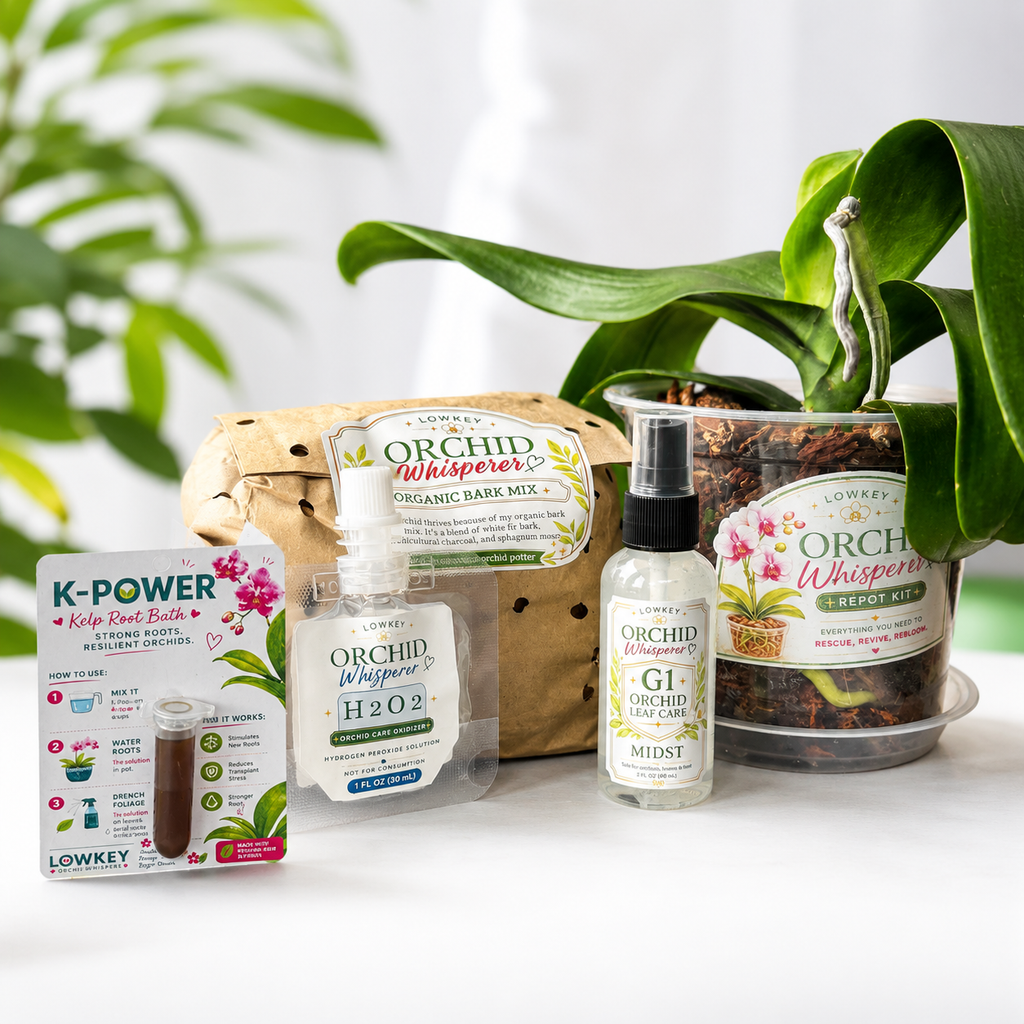 DIY Orchid Repot Kit - White Fir Bark Mix